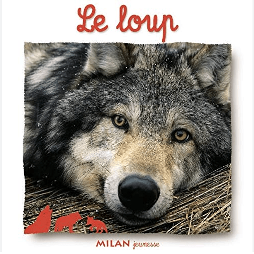 Le Loup - Click to enlarge picture.