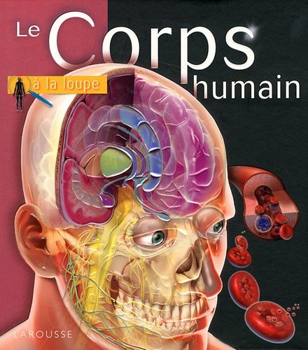 Le corps humain - Click to enlarge picture.