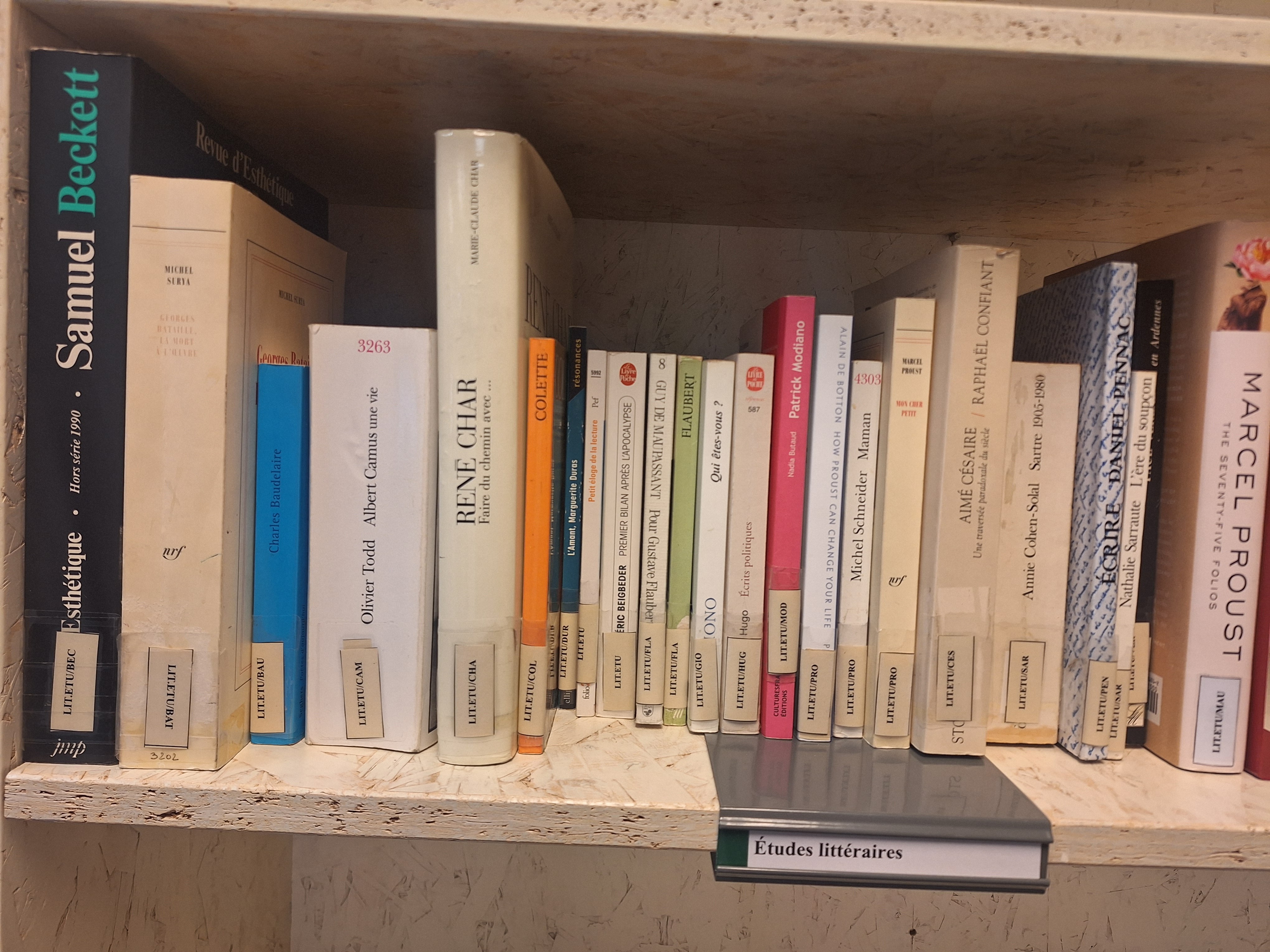 Literary studies