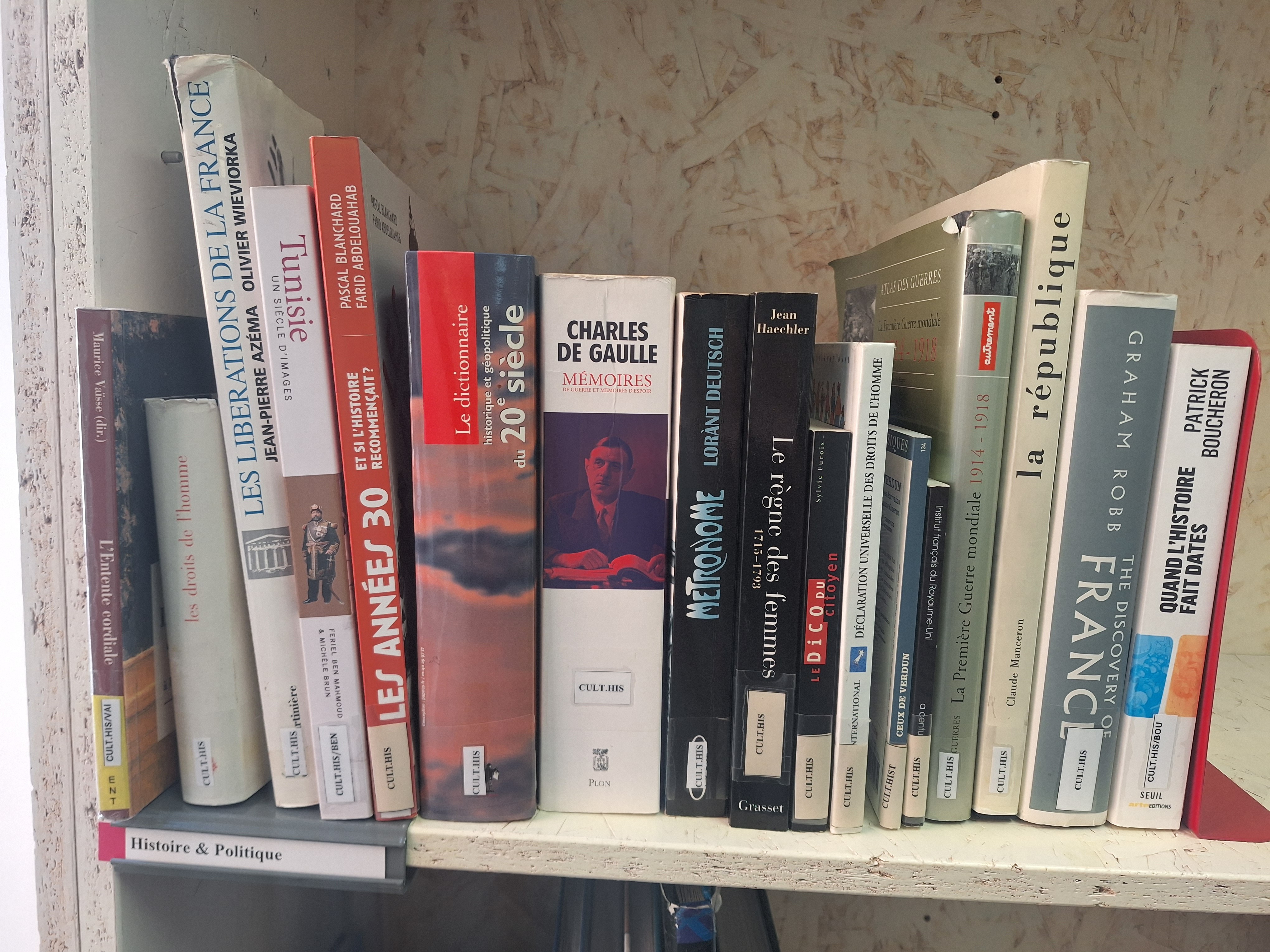History and politics books