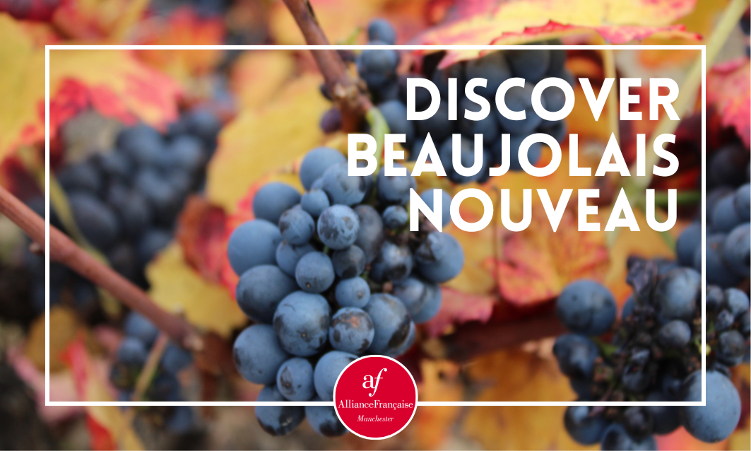Discover Beaujolais Nouveau